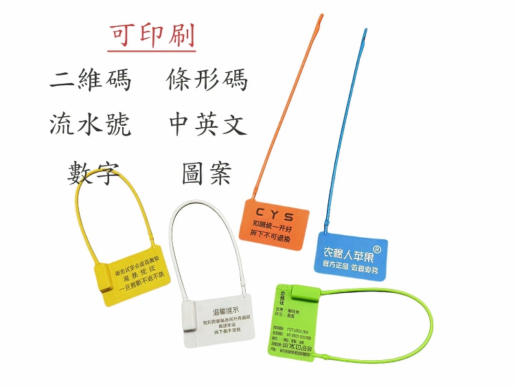 可定制印刷